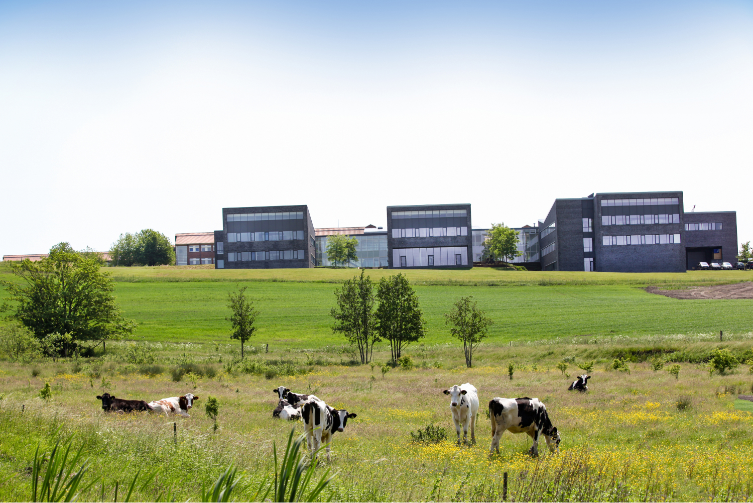 Food park thesis pdf 08 image